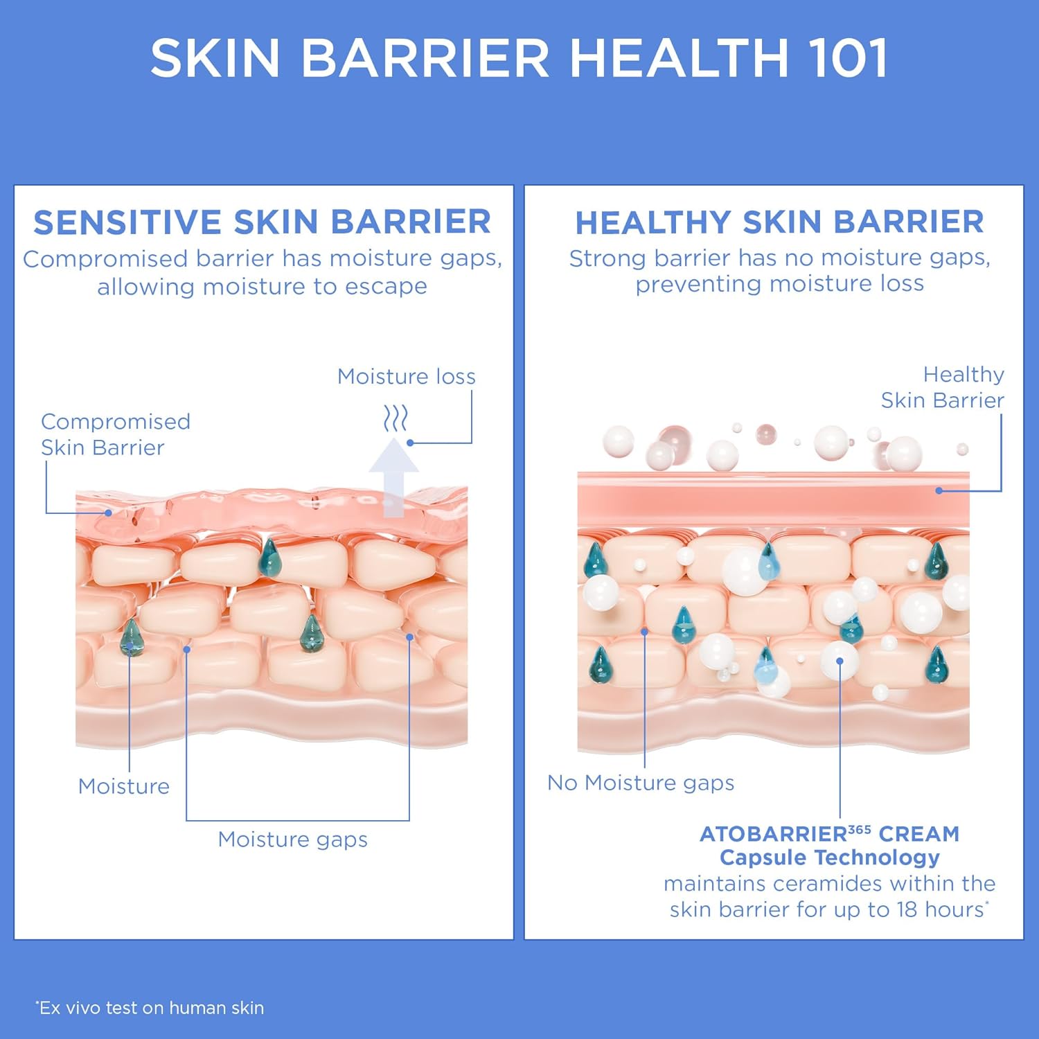 AESTURA ATOBARRIER365 Cream with Ceramides, 80 mL / 2.70 fl.oz.